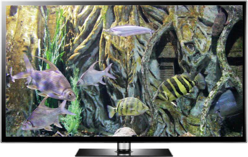 best aquarium screensaver multi monitor