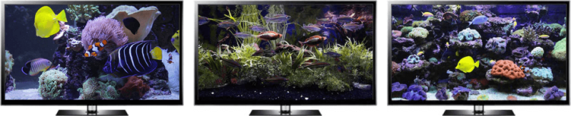 Aquarium Screensaver For Your PC Download Aquarium Screensaver